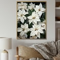 thumbnail image 1 of Designart "Serenade Of Wild White Poinsettia" Poinsettias Floater Framed Wall Art Prints, 1 of 5