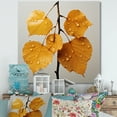 thumbnail image 1 of Designart "Serene Harmony In Honey-Colored Foliage I" Leaves Wall Art Prints, 1 of 7