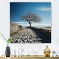 thumbnail image 1 of Designart "Serene Photography Of Modern Scandinavian III" Modern Scandinavian Canvas Wall Art, 1 of 7