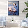 thumbnail image 1 of Designart "Serene Swan Photograph" Animals Swans Floater Framed Canvas Prints, 1 of 5