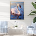 thumbnail image 1 of Designart "Serene Swan Photograph" Animals Swans Floater Framed Canvas Prints, 1 of 5