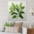thumbnail image 1 of Designart "Serenity In Fresh Mint Minimalism Leaves III" Leaves Floater Framed Canvas Wall Art, 1 of 5