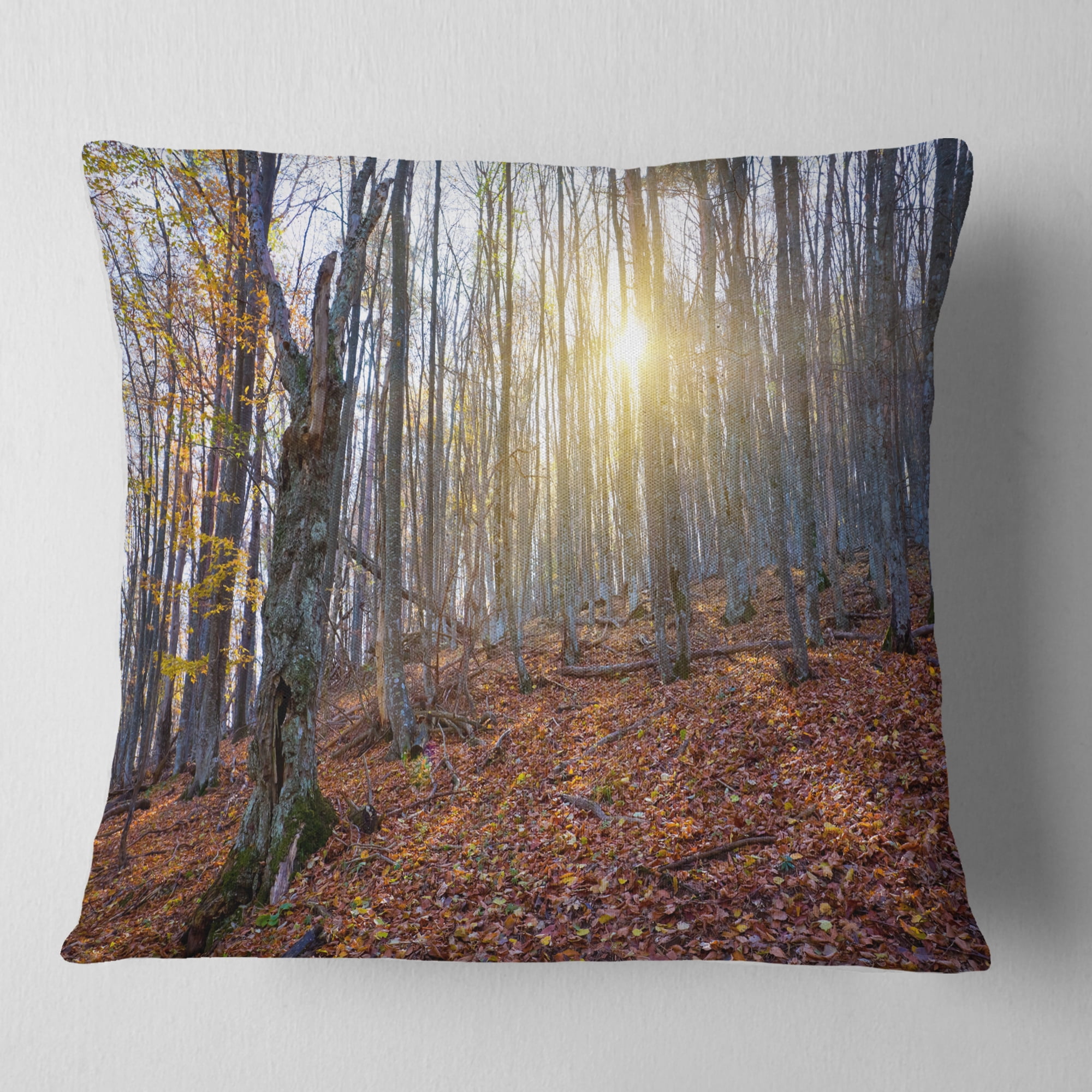 Designart Setting Sun in Dense Fall Forest - Modern Forest Throw Pillow - 16x16
