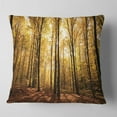 thumbnail image 1 of Designart Setting Sun over Dense Fall Forest - Modern Forest Throw Pillow - 16x16, 1 of 4