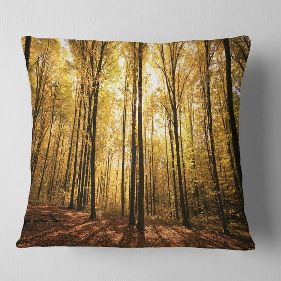 Designart Setting Sun over Dense Fall Forest - Modern Forest Throw Pillow - 16x16