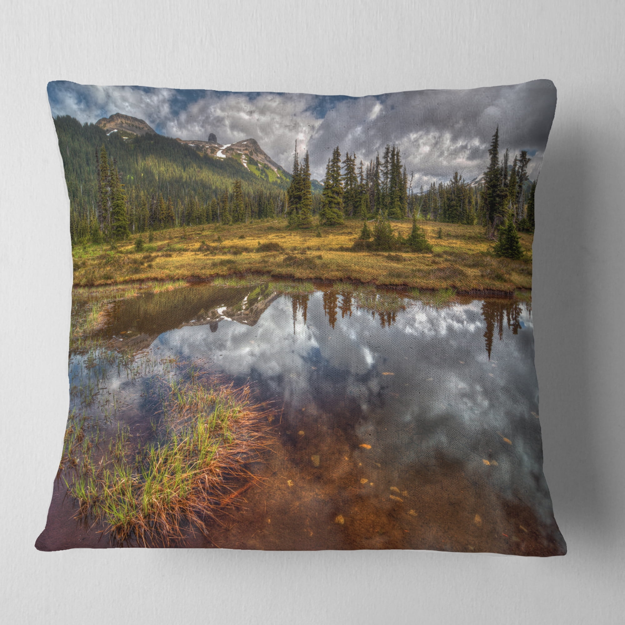 Designart Shallow Lake under Cloudy Sky - Landscape Printed Throw Pillow - 16x16