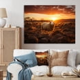 thumbnail image 1 of Designart "Sheep form At Sunrise" Animals Canvas Art Print, 1 of 5