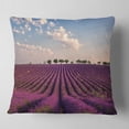 thumbnail image 1 of Designart Shiny Lavender Field in Provence - Landscape Printed Throw Pillow - 18x18, 1 of 4