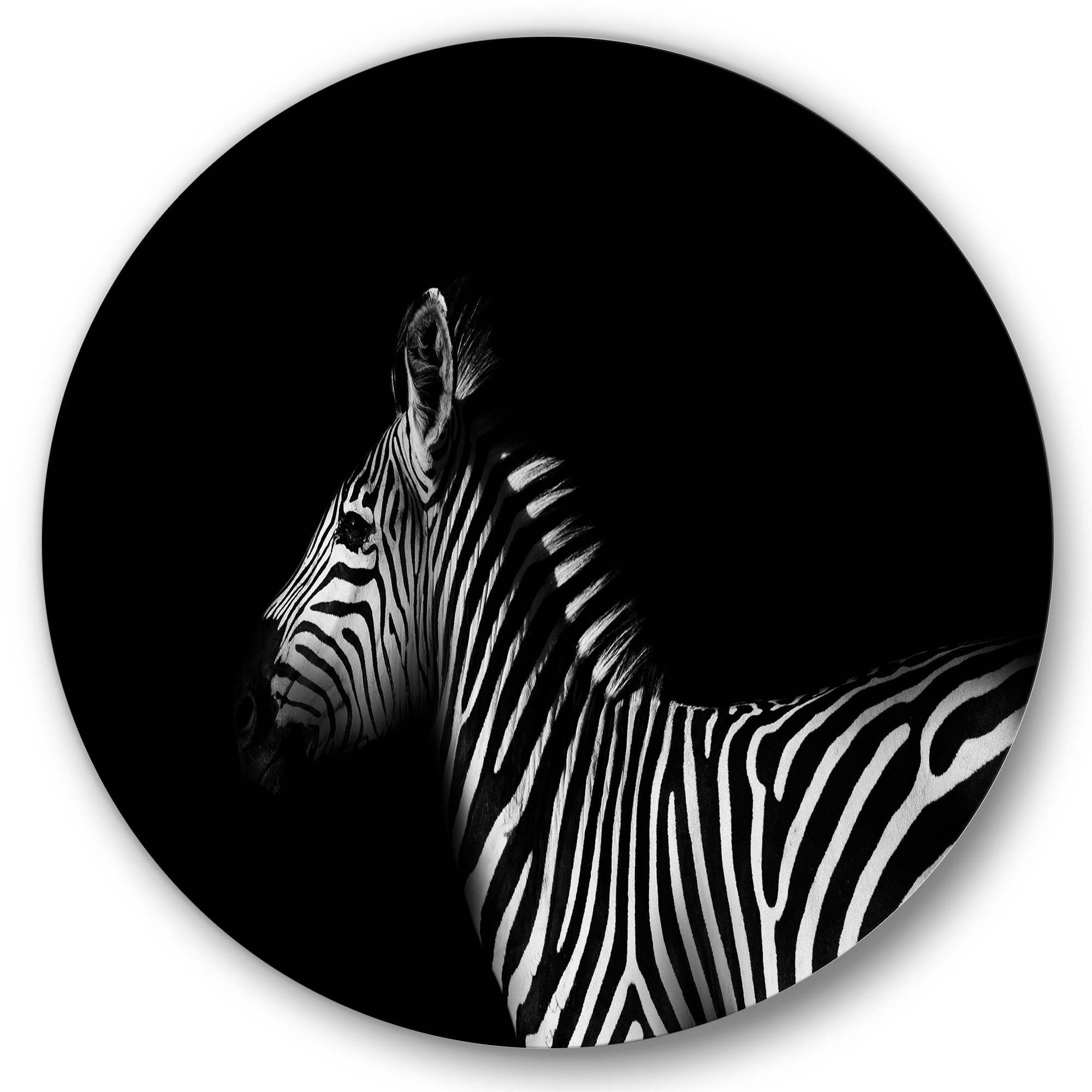 Designart 'Sideview Of Zebra In White and Black' Farmhouse Circle Metal Wall Art 23x23 - Disc of 23