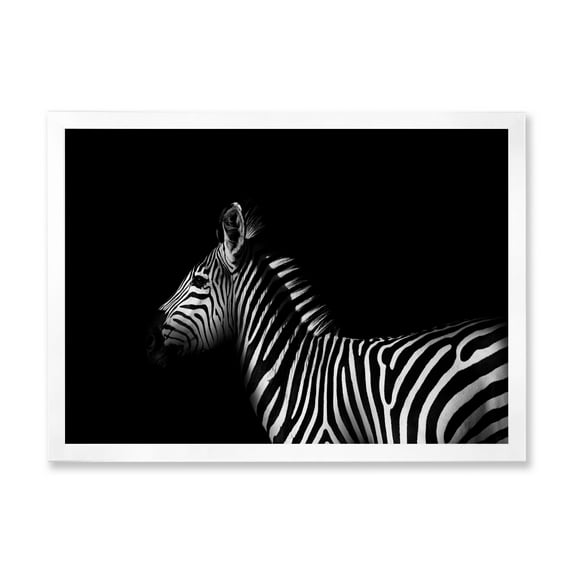 Designart 'Sideview Of Zebra In White and Black' Farmhouse Framed Art Print