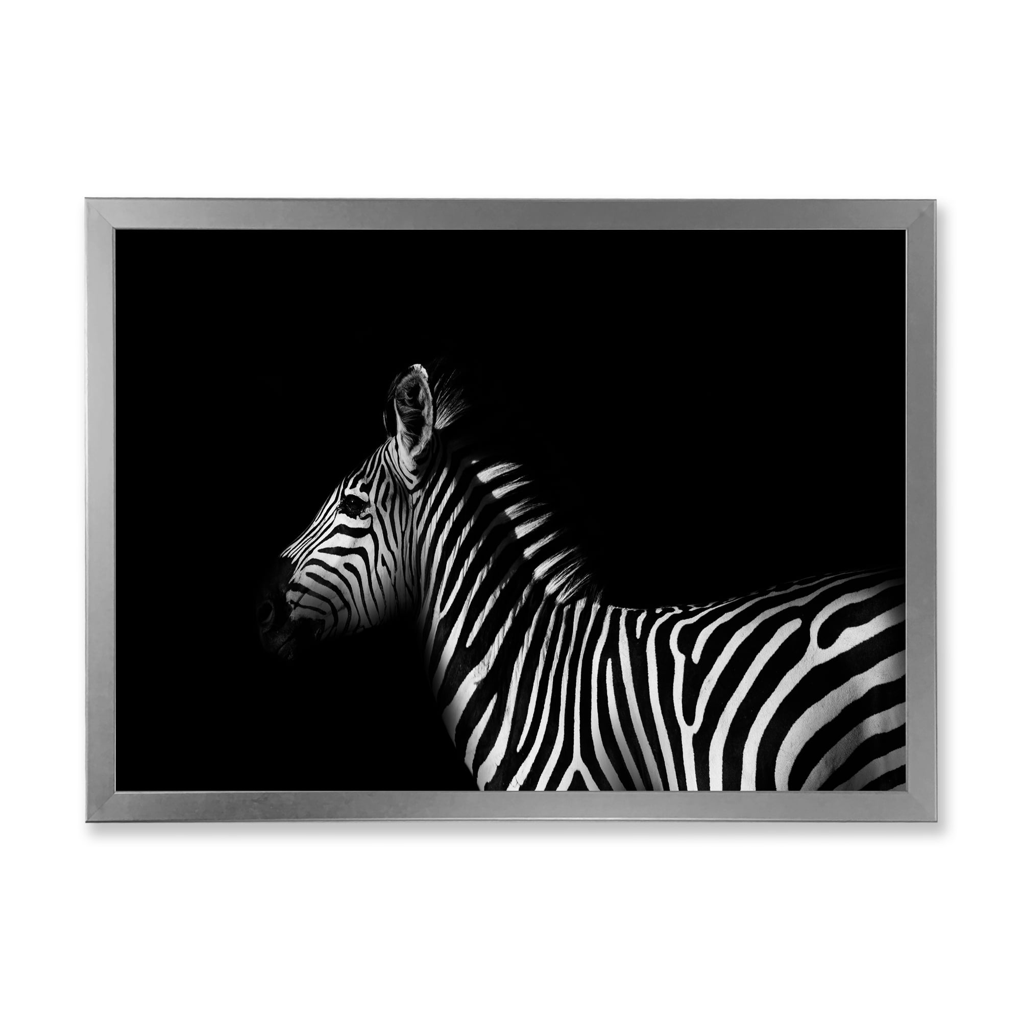 Designart 'Sideview Of Zebra In White and Black' Farmhouse Framed Art Print