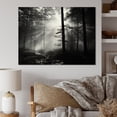 thumbnail image 1 of Designart "Silence Photography: Black And White Forest I" Forest Wall Art Living Room, 1 of 7
