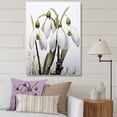 thumbnail image 1 of Designart "Silent White Snowdrops in Morning Hush I" Floral Canvas Wall Art - Traditional White Snowdrops Entryway Wall Art, 1 of 6