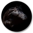 thumbnail image 1 of Designart 'Silhouette Of Horse and Woman' Farmhouse Circle Metal Wall Art 11x11 - Disc of 11, 1 of 5