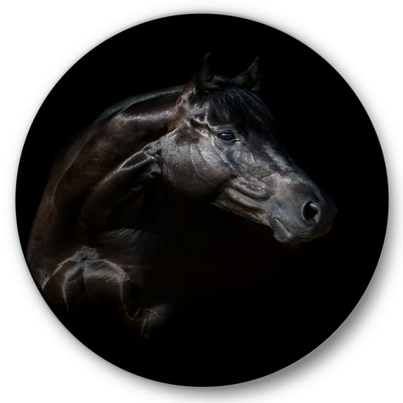 Designart 'Silhouette Of Horse and Woman' Farmhouse Circle Metal Wall Art 11x11 - Disc of 11
