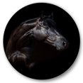 thumbnail image 1 of Designart 'Silhouette Of Horse and Woman' Farmhouse Circle Metal Wall Art 23x23 - Disc of 23, 1 of 5
