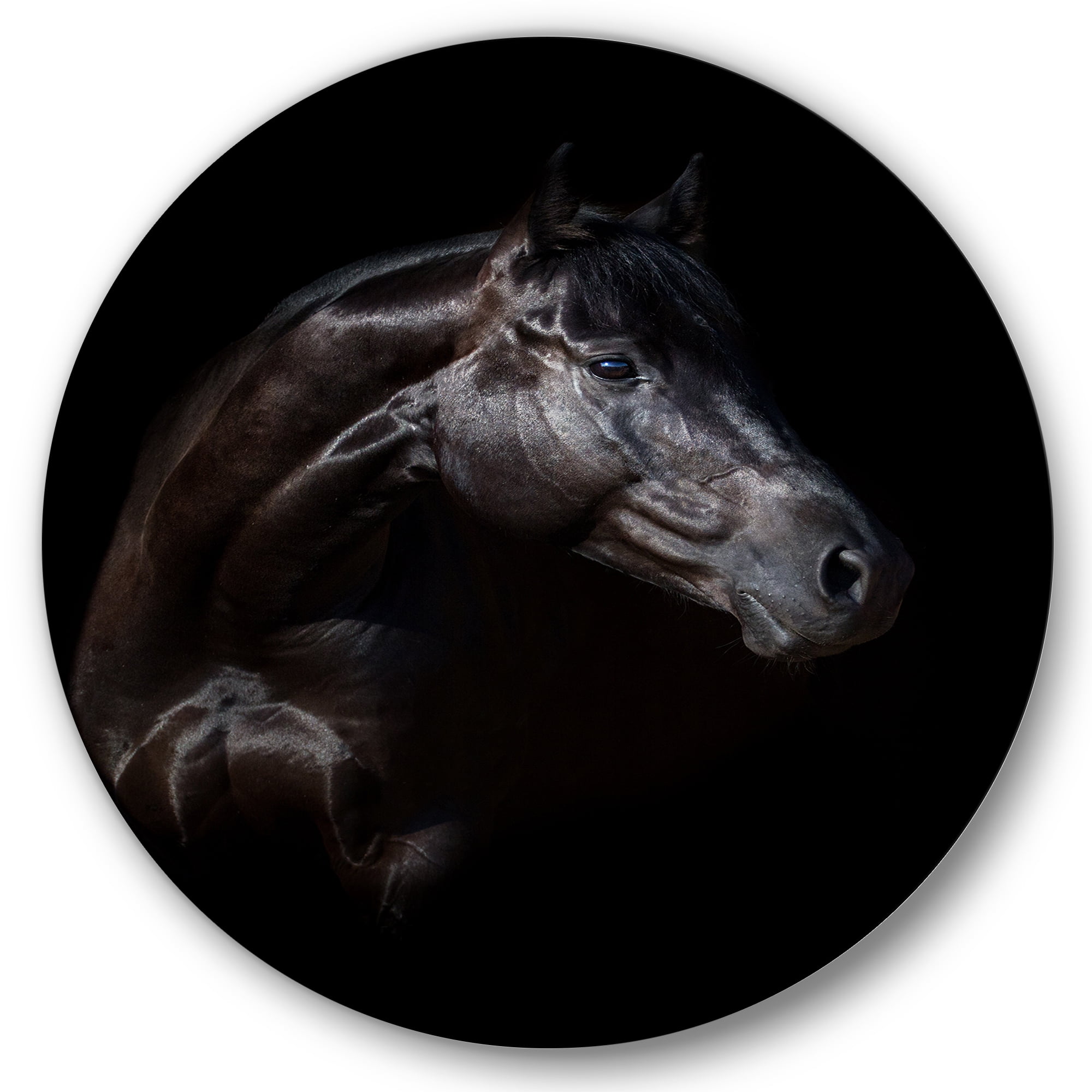 Designart 'Silhouette Of Horse and Woman' Farmhouse Circle Metal Wall Art 29x29 - Disc of 29