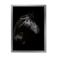 thumbnail image 1 of Designart 'Silhouette Of Horse and Woman' Farmhouse Framed Art Print, 1 of 4
