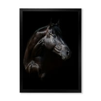 Designart 'Silhouette Of Horse and Woman' Farmhouse Framed Art Print