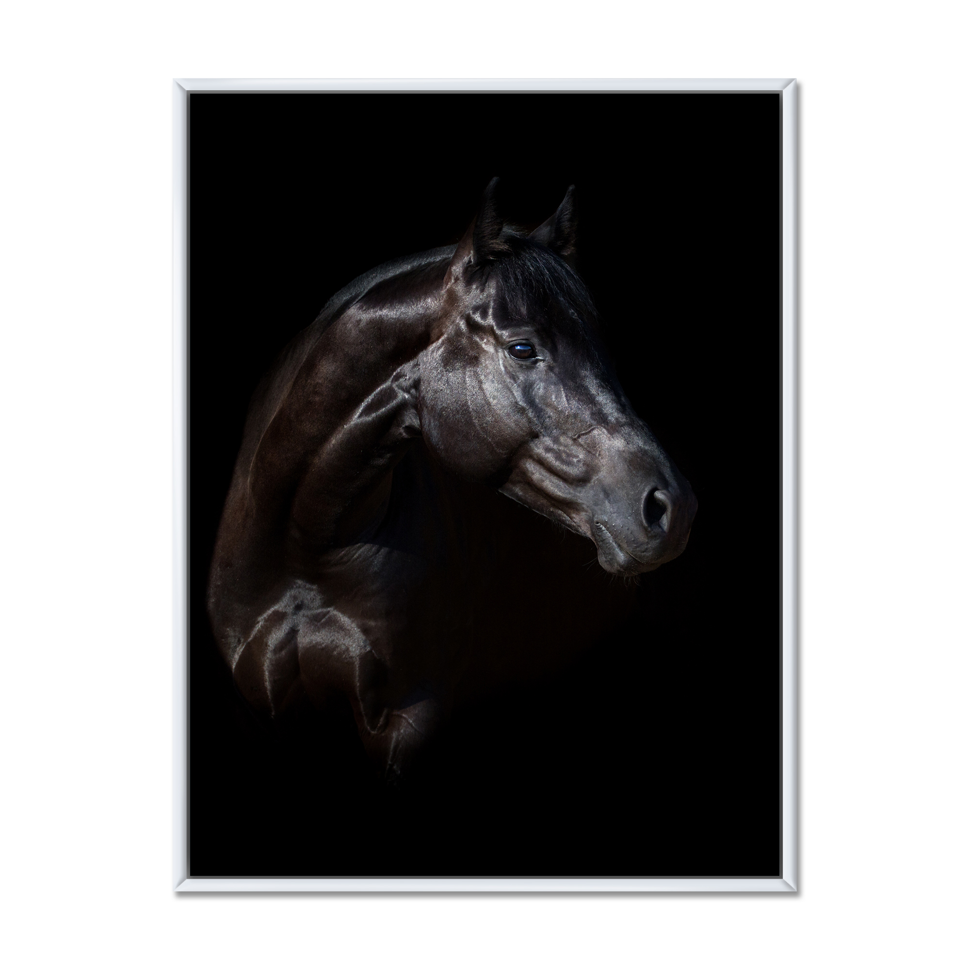 Designart 'Silhouette Of Horse and Woman' Farmhouse Framed Canvas Wall Art Print