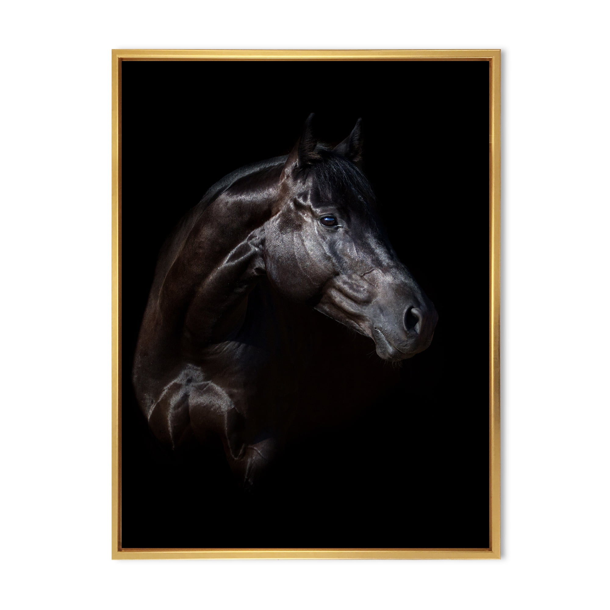 Designart 'Silhouette Of Horse and Woman' Farmhouse Framed Canvas Wall Art Print