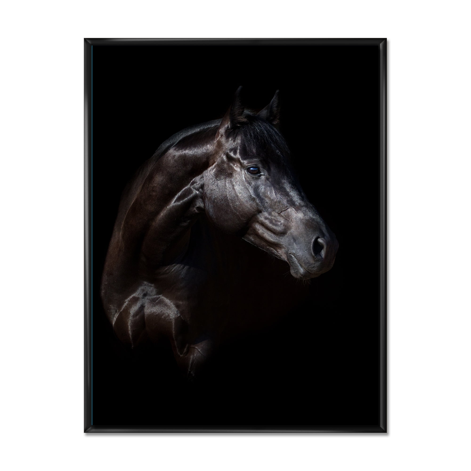 Designart 'Silhouette Of Horse and Woman' Farmhouse Framed Canvas Wall Art Print