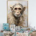 thumbnail image 1 of Designart "Silhouetted Minimalism: Monkey" Animals Monkey Floater Framed Canvas Prints, 1 of 5