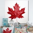 thumbnail image 1 of Designart "Simplicity In Scarlet Maple Leaf I" Leaves Canvas Prints, 1 of 7