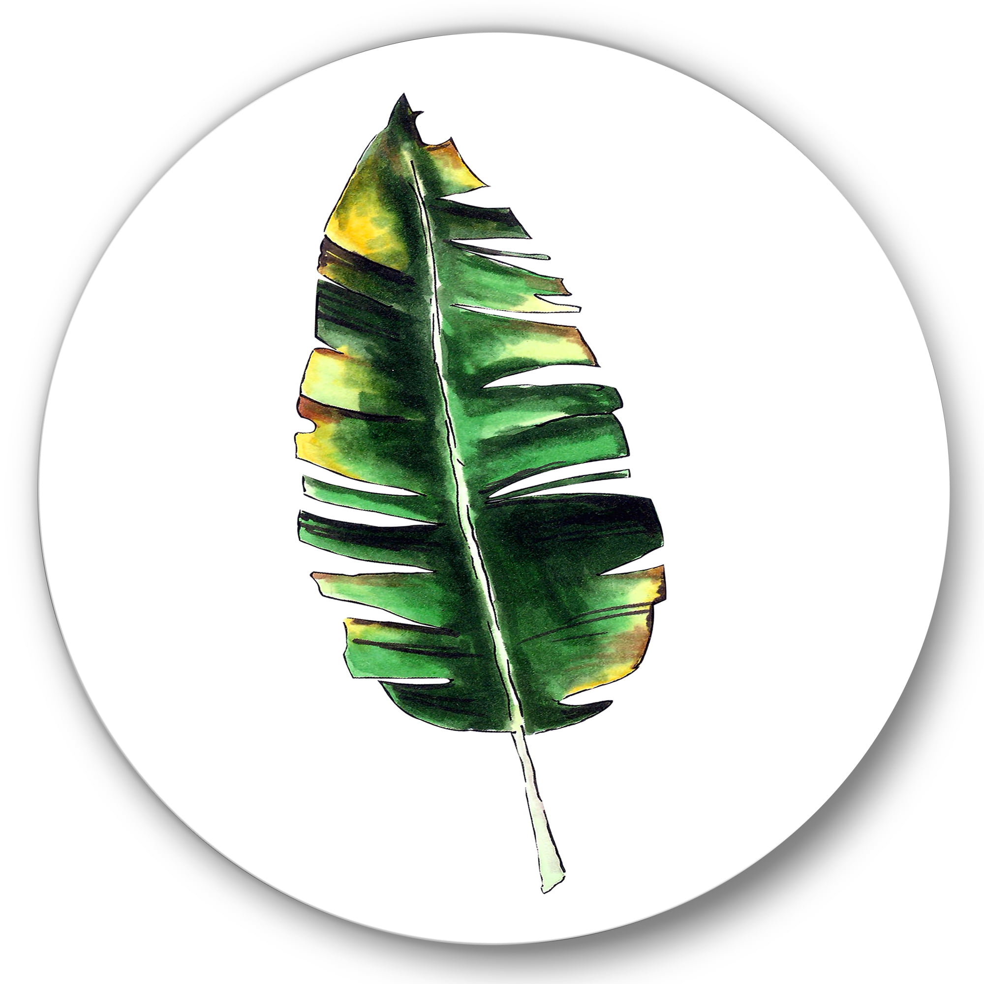 Designart 'Single Banana Leaf On White' Bohemian & Eclectic Circle Metal Wall Art 36x36 - Disc of 36