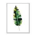 thumbnail image 1 of Designart 'Single Banana Leaf On White' Bohemian & Eclectic Framed Canvas Wall Art Print, 1 of 5