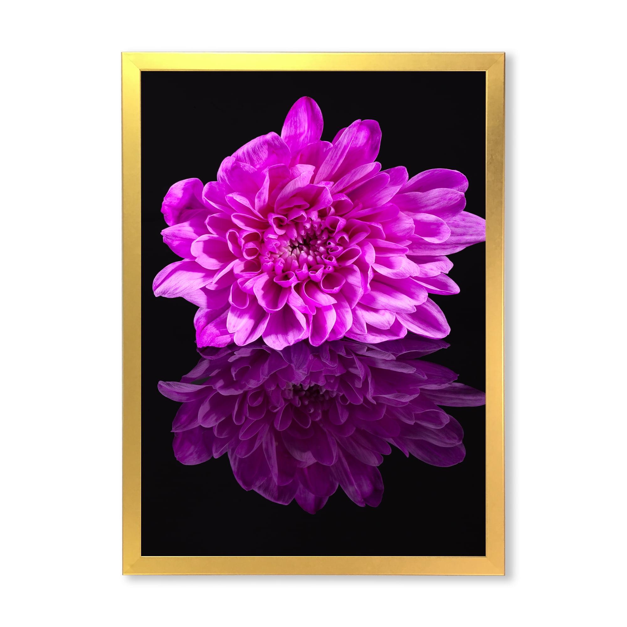 Designart 'Single Purple Chrysanthemum Flower On Black Reflection' Traditional Framed Art Print