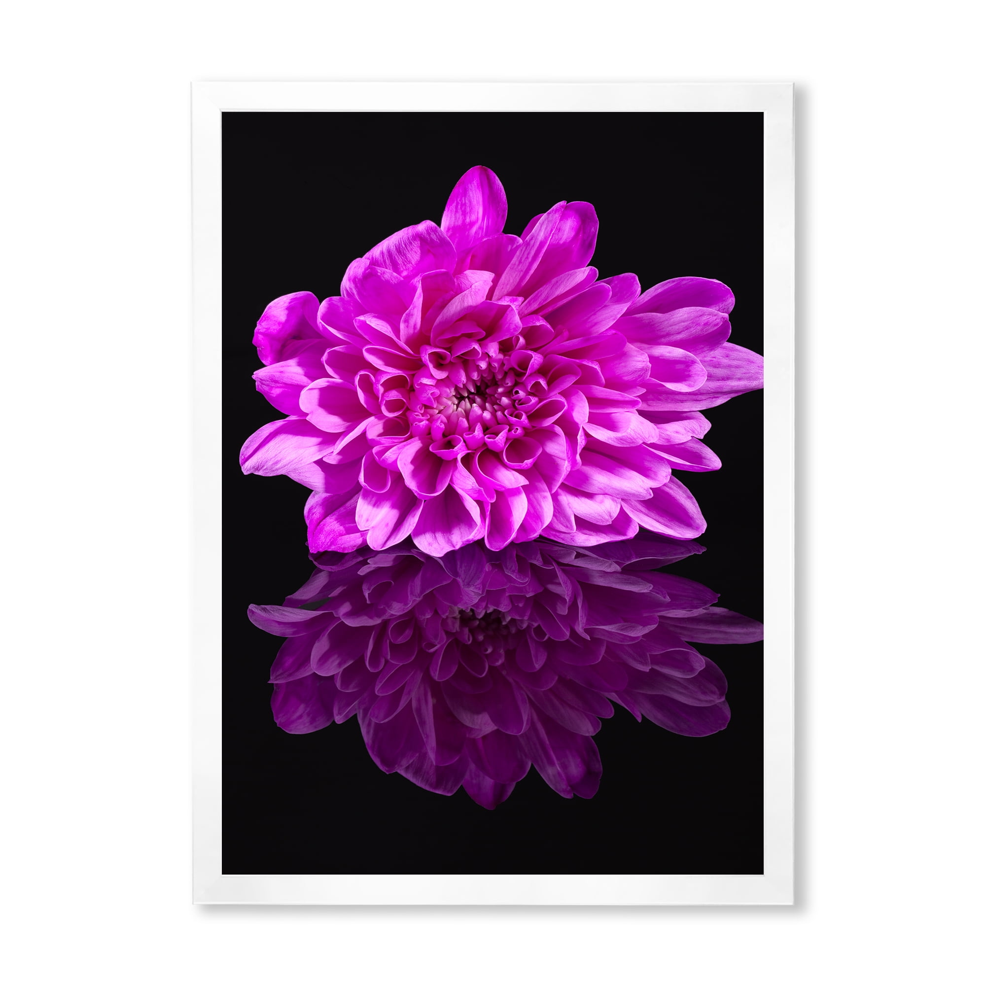 Designart 'Single Purple Chrysanthemum Flower On Black Reflection' Traditional Framed Art Print