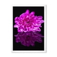 thumbnail image 1 of Designart 'Single Purple Chrysanthemum Flower On Black Reflection' Traditional Framed Art Print, 1 of 4