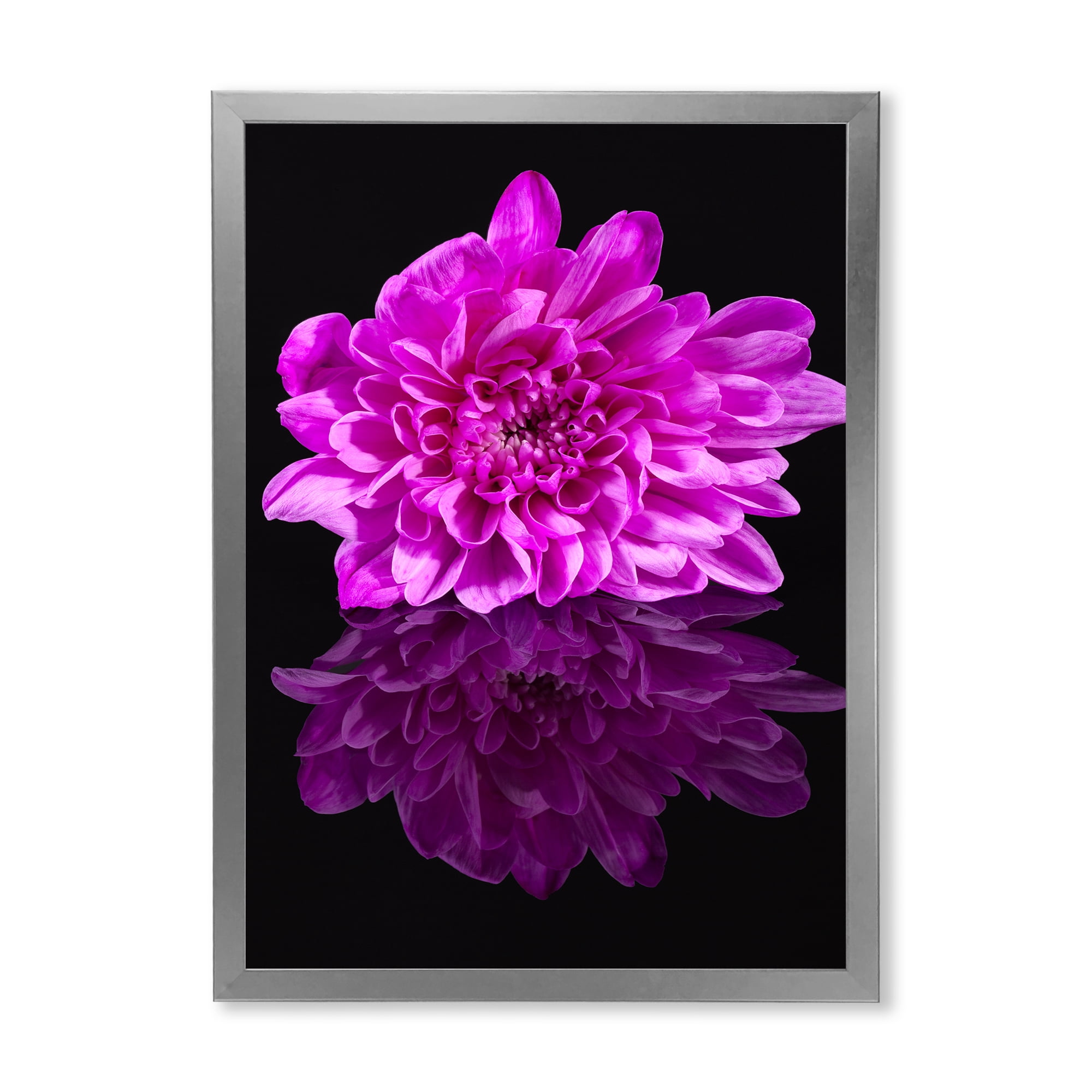 Designart 'Single Purple Chrysanthemum Flower On Black Reflection' Traditional Framed Art Print