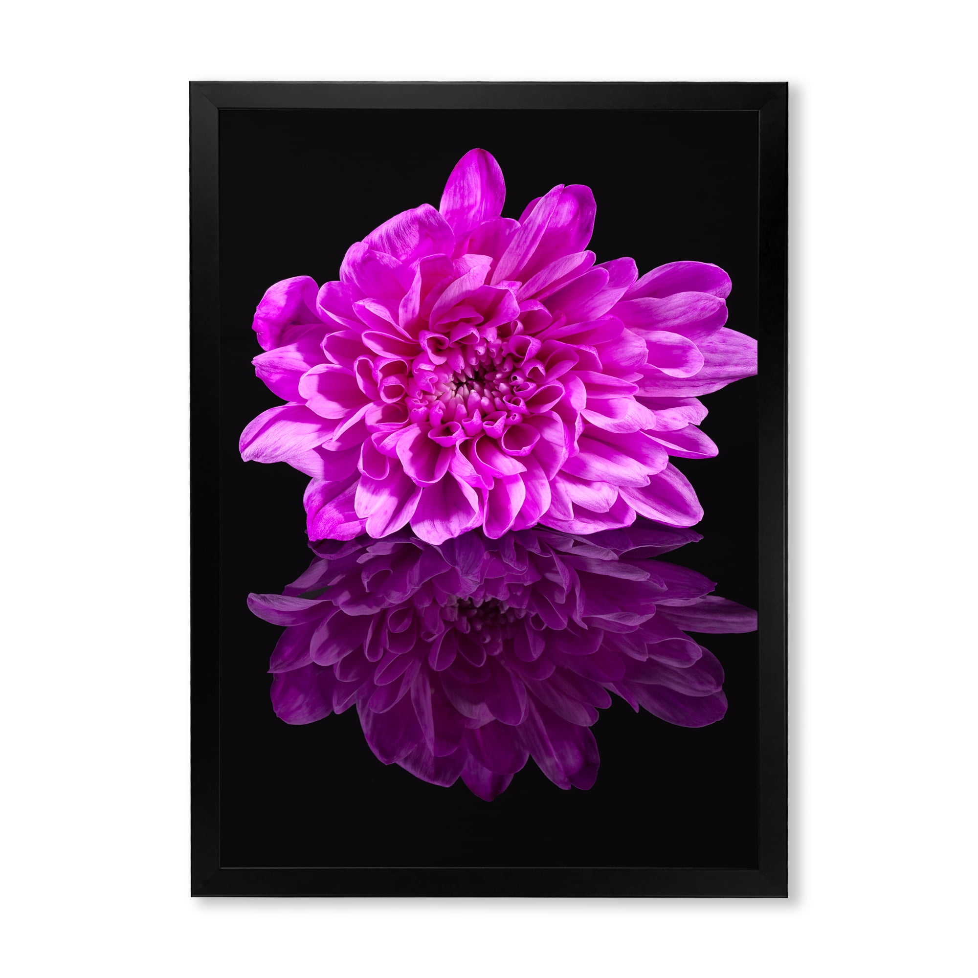 Designart 'Single Purple Chrysanthemum Flower On Black Reflection' Traditional Framed Art Print