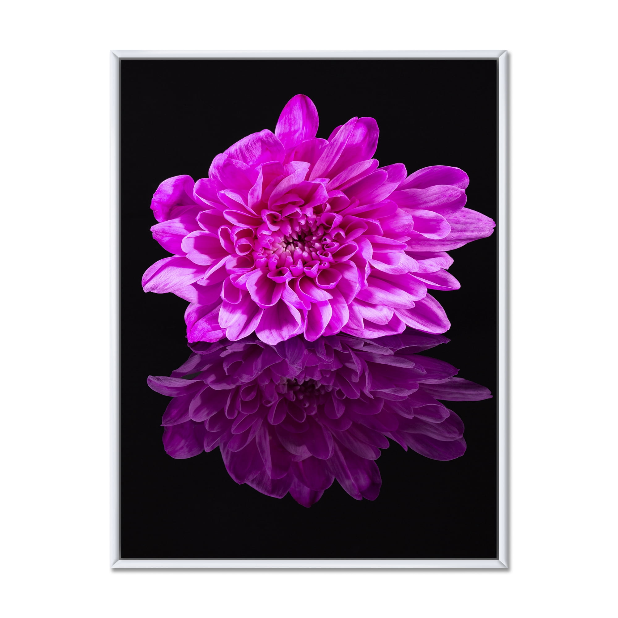 Designart 'Single Purple Chrysanthemum Flower On Black Reflection' Traditional Framed Canvas Wall Art Print