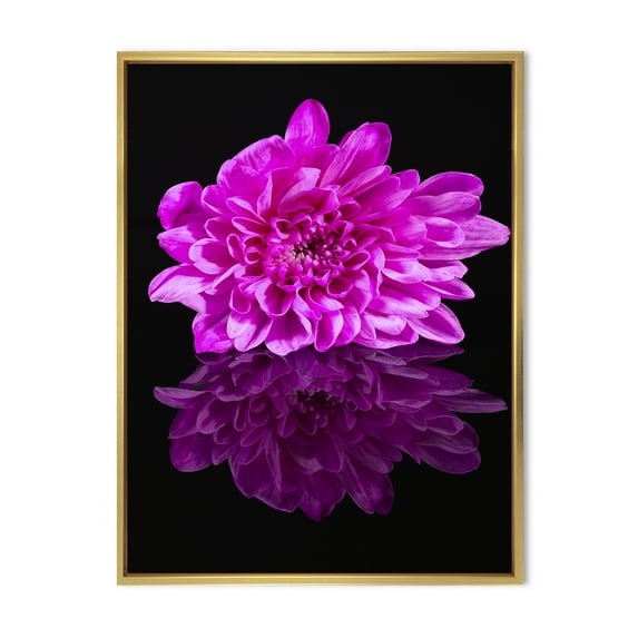 Designart 'Single Purple Chrysanthemum Flower On Black Reflection' Traditional Framed Canvas Wall Art Print