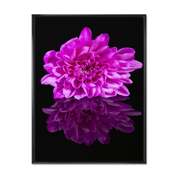 Designart 'Single Purple Chrysanthemum Flower On Black Reflection' Traditional Framed Canvas Wall Art Print
