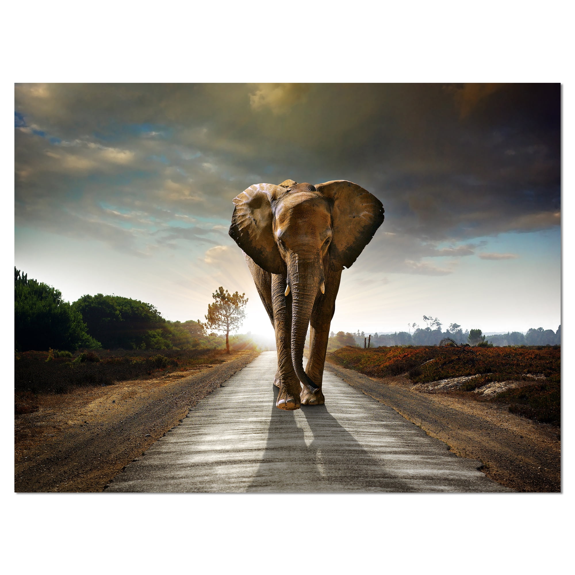 Designart 'Single Walking Elephant ' Photography Canvas Art Print