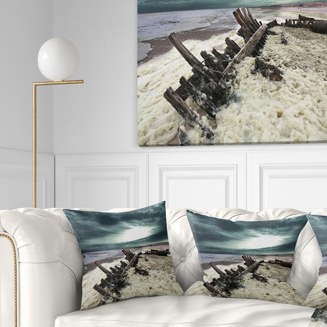 Designart Skeleton Coast National Park - Landscape Printed Throw Pillow - 16x16