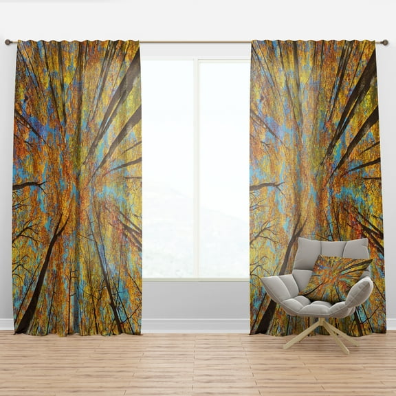 Designart 'Sky View Through Autumn Forest' Forest Curtain Panel