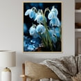 thumbnail image 1 of Designart "Snowdrop Winter Photography" Snowdrops Floater Framed Wall Art Prints, 1 of 5