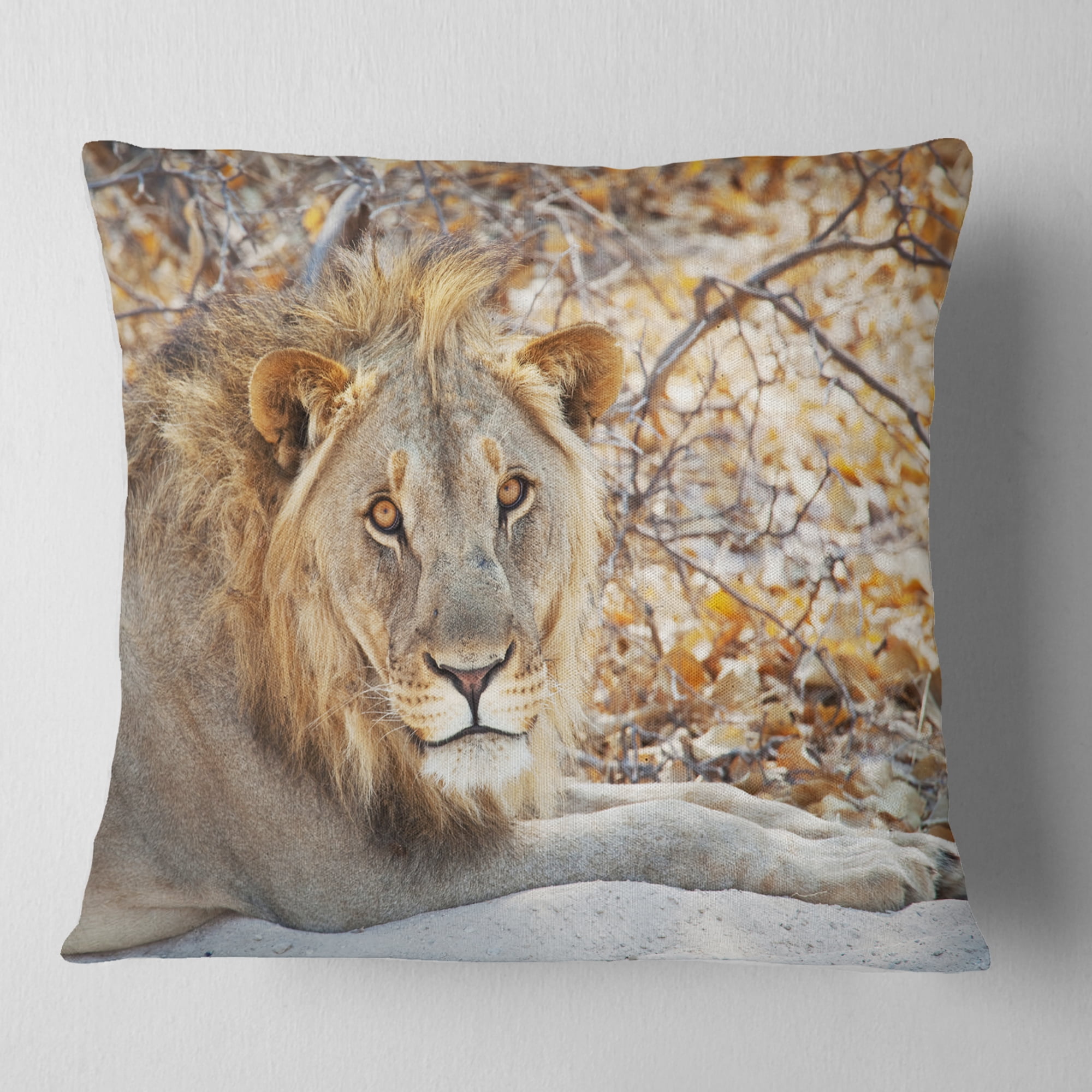 Designart Solitary Lion Taking Rest in Forest - African Throw Pillow - 18x18