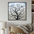 thumbnail image 1 of Designart "Solitary Tree In Monochrome I" Tree Monochrome Floater Framed Canvas Art Print, 1 of 5