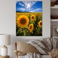 thumbnail image 1 of Designart "Spain Sunflower landscapes Heat Of Inland III" Floral Canvas Print, 1 of 5