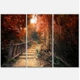 thumbnail image 1 of Designart 'Stairway Through Red Fall Forest ' Landscape Photography Canvas Print, 1 of 3