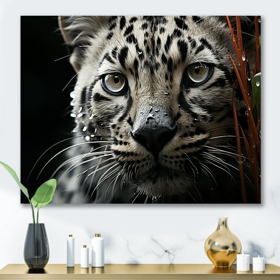 Designart "Stalking Leopard In The Jungle II" Animals Leopard Canvas Prints