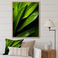 thumbnail image 1 of Designart "Stately Palm Silhouettes" Palms & Palm Trees Floater Framed Wall Art Prints, 1 of 5