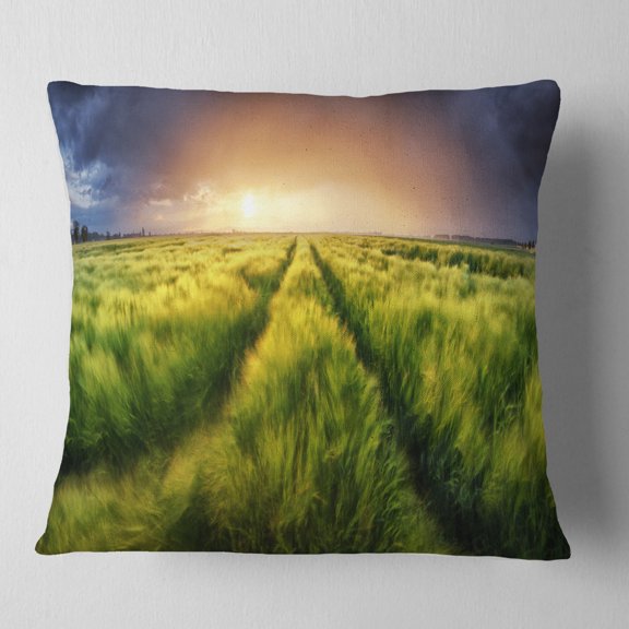 Designart Storm and Light on Meadow - Landscape Printed Throw Pillow - 18x18