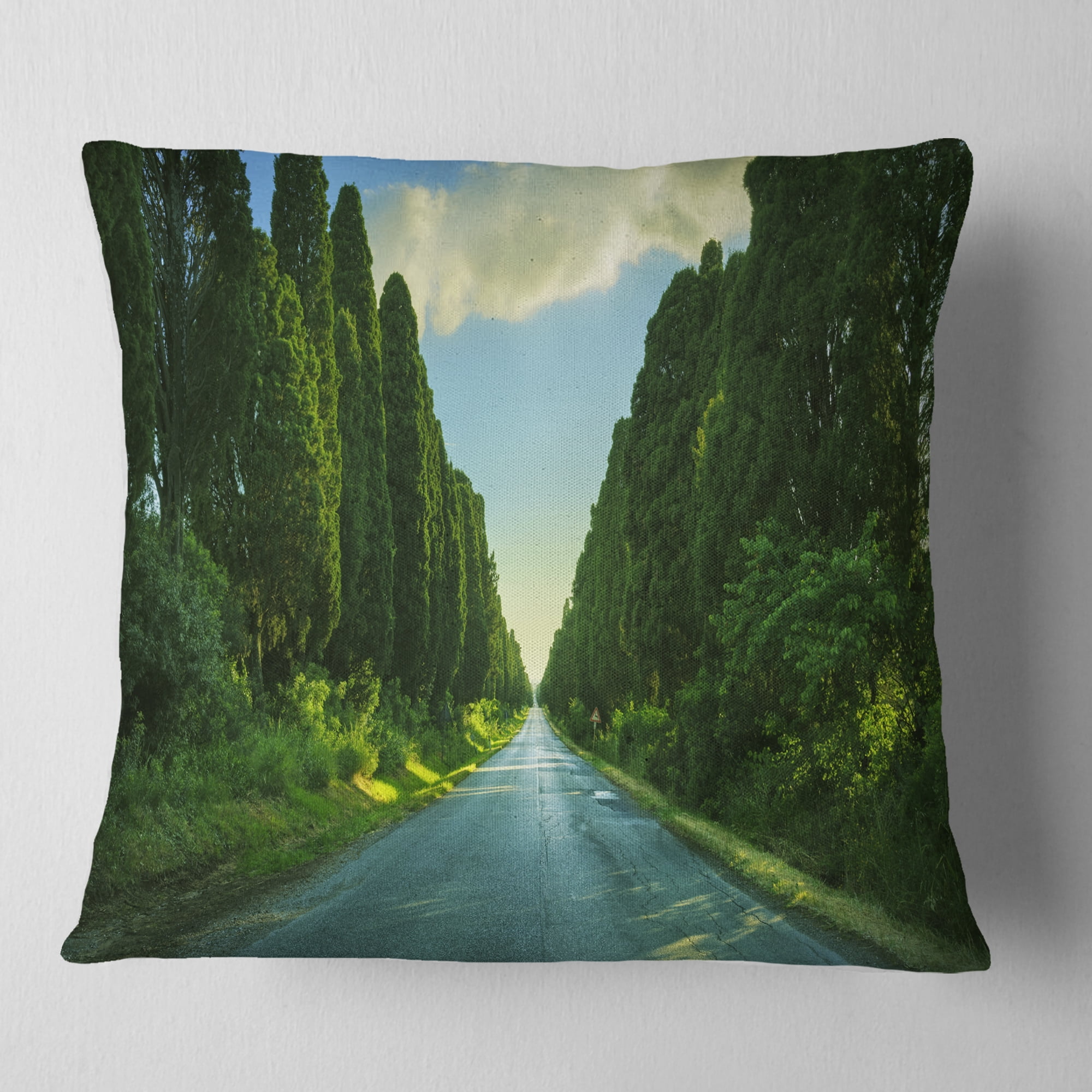 Designart Straight Cypress Trees Boulevard - Modern Landscape Printed Throw Pillow - 16x16